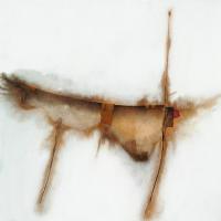 Origine8