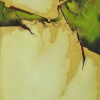 Verde3